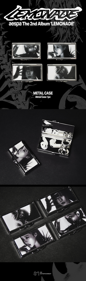 METAL CASE